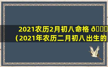 2021农历2月初八命格 🐒 （2021年农历二月初八出生的人命好吗运势如何）